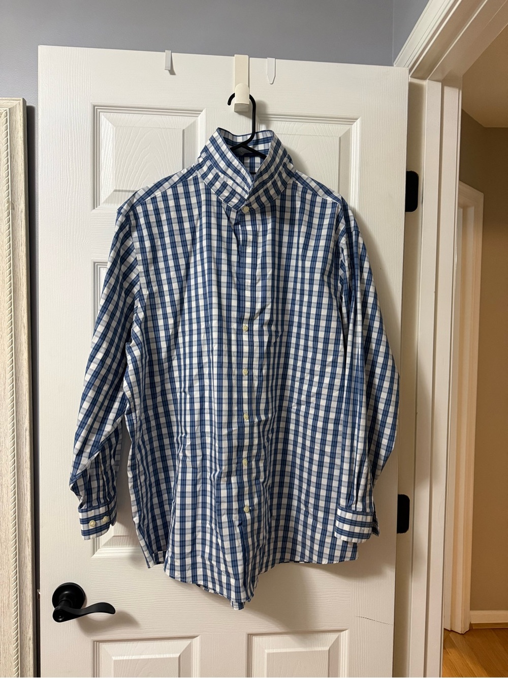 Kirkland Signature Blue and White Gingham Button-Down Shirt